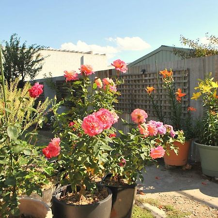 Cooma Cottage Ngoại thất bức ảnh